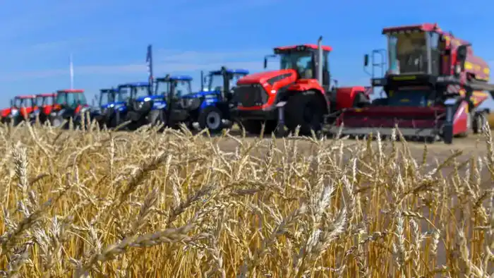 Увеличение валового выпуска сельскохозяйственной продукции на 6,1% способствует улучшению продовольственной безопасности и разнообразия на рынке {city2}