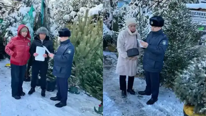 Защитим леса: «Ель» против зеленых злоумышленников! {city2}