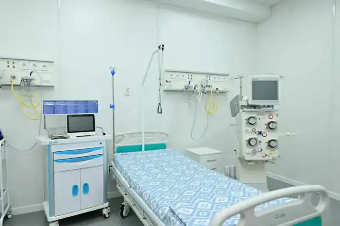 Запуск нового реанимационного отделения в Аягозе: улучшение качества медицинской помощи для жителей региона {city2}