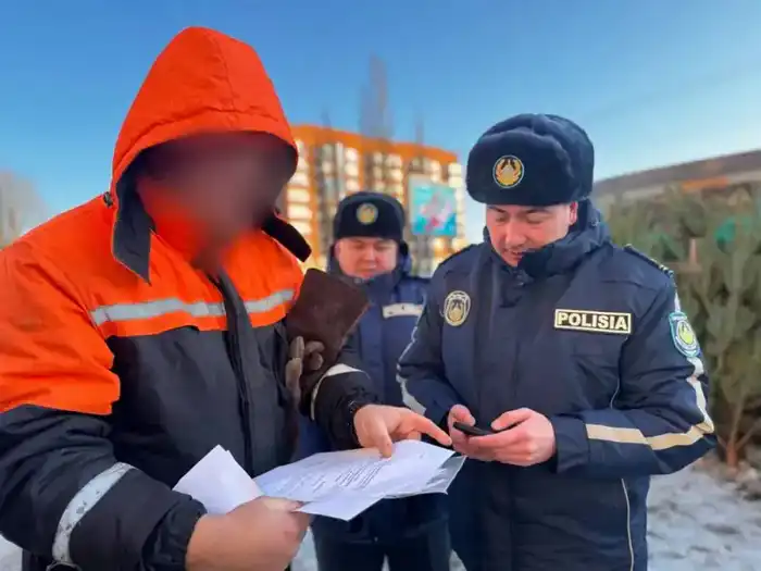 Полиция Павлодарской области проводит рейды по охране хвойных деревьев от незаконной рубки {city2}