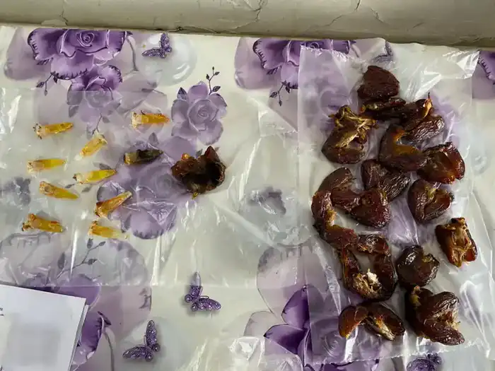 Пресечённые попытки contraband в учреждениях УИС: последствия для безопасности и правопорядка {city2}