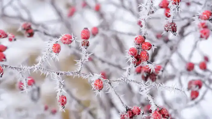 Прогноз погоды в Казахстане: 35-градусные морозы 9, 10 и 11 декабря от синоптиков Казгидромета {city2}