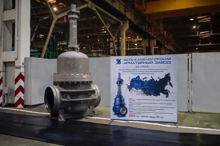 Запуск Реестра казахстанских товаропроизводителей: бизнес поддержал государственную реформу в промышленности (4)