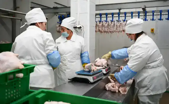 57,3 тыс. рабочих мест создано в Жамбылской области (4)