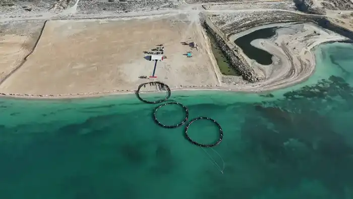 Аквакультура: Жемчужина экономики на волне инвестиций! {city2}