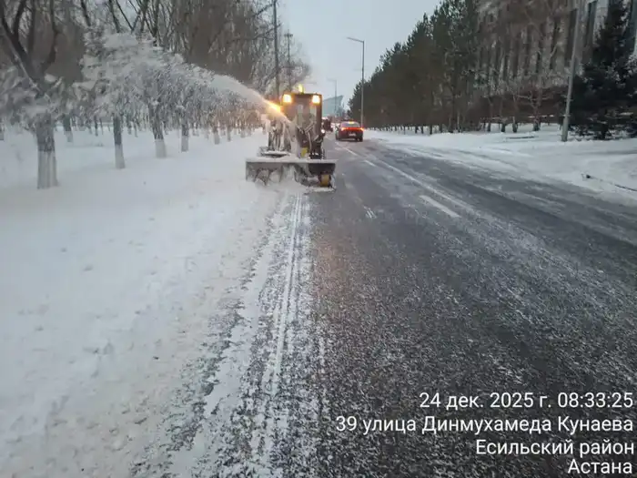 Снегопад в Астане более миллиона кубометров снега вывезено коммунальными службами {city2}