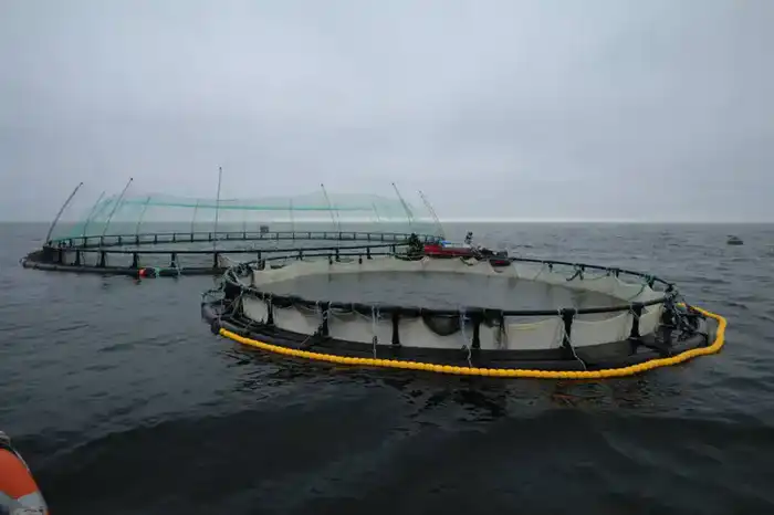 В Мангистауской области реализуется первый в Центральной Азии морской аквакультурный проект (3)