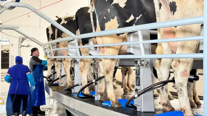 84 проекта: агроинновации на старте в СКО! {city2}