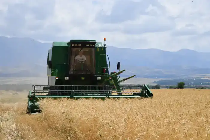 Увеличение объемов сельхозпродукции в Туркестанской области способствует экономическому росту и развитию тепличного хозяйства {city2}