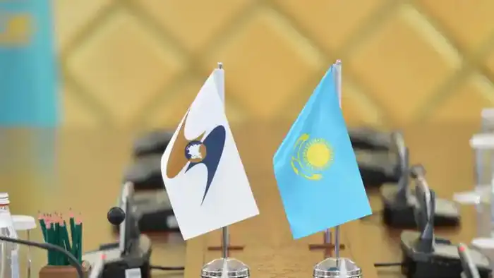 Рабочая встреча Казахстана и ЕАЭС по вопросам фитосанитарного сотрудничества {city2}