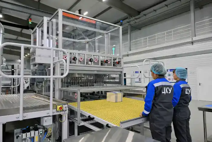 В Семее открыт современный цех по производству картонной упаковки (10)