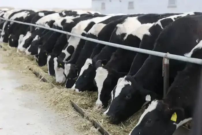 Почти 30 млрд тенге субсидий направлено на развитие агросектора Жамбылской области (2)