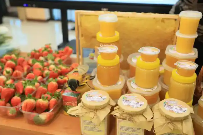 Рост предпринимательской активности и создание рабочих мест: итоги программы «Ауыл аманаты» {city2}