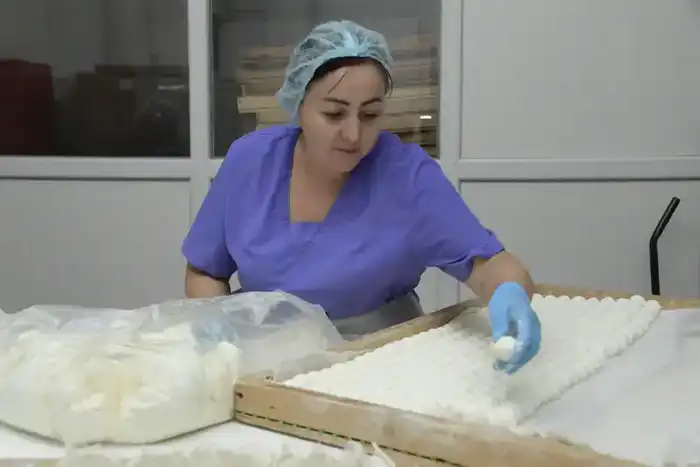 В области Жетісу объем продукции, произведенной субъектами малого и среднего бизнеса, увеличился на 15,2% (3)