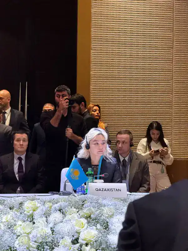 В. Шегай представила инициативы Казахстана на первой встрече министров труда Организации тюркских государств (2)