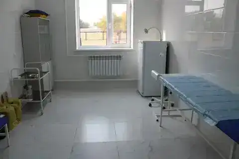 Строительство медицинских объектов в Карасайском районе завершено {city2}