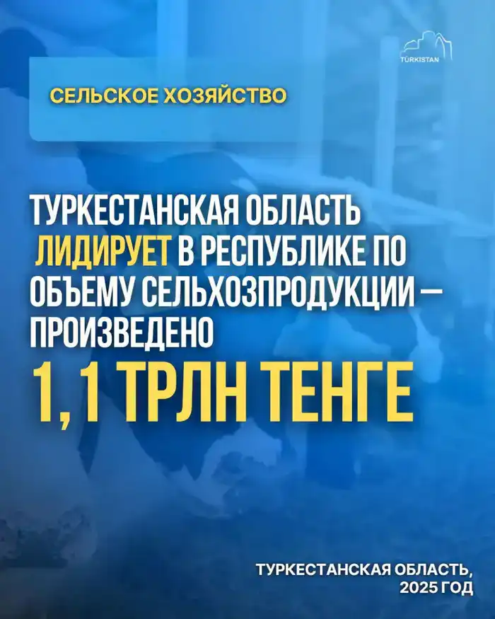 ТУРКЕСТАНСКАЯ ОБЛАСТЬ ЛИДИРУЕТ В РЕСПУБЛИКЕ ПО ОБЪЕМУ СЕЛЬХОЗПРОДУКЦИИ - ПРОИЗВЕДЕНО 1,1 ТРЛН ТЕНГЕ (4)