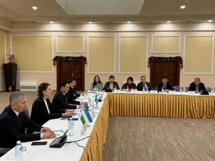 Восьмое заседание Казахстанско-узбекистанской совместной рабочей группы (Комиссии) по вопросам охраны окружающей среды и качества вод бассейна реки Сырдарья (3)