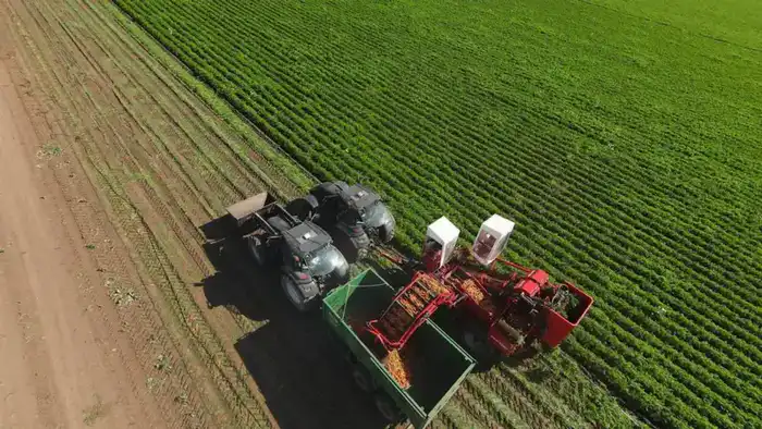 Акмолинская область: инвестиционный космос Казахстана на орбите роста {city2}