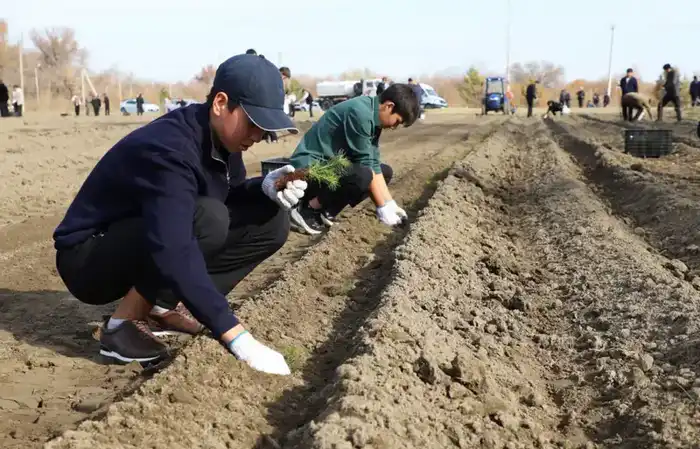 «Таза Қазақстан»: в Талдыкоргане благоустроено 39 дворов, установлено 20 детских площадок (9)