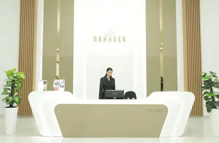 В Кызылорде открылась современная мебельная фабрика (7)