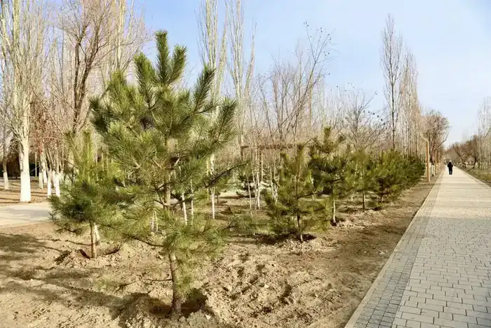 Город расцветает: новые оазисы отдыха в сердце мегаполиса {city2}