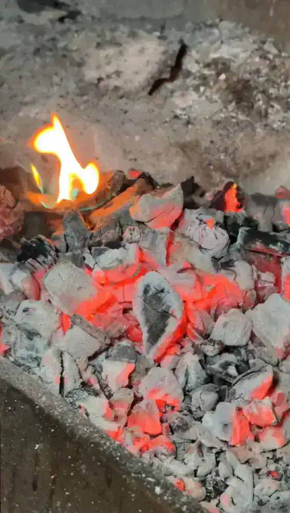 В Алматы ужесточили надзор за заведениями, загрязняющими воздух (3)