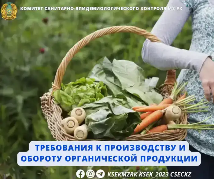 Качество органической продукции в Казахстане требования к сертификации и производителям {city2}