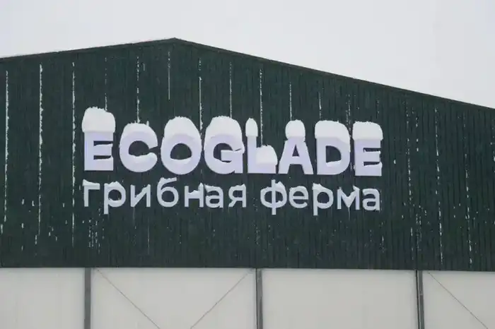 Открытие крупной грибной фермы в регионе с современным производством {city2}