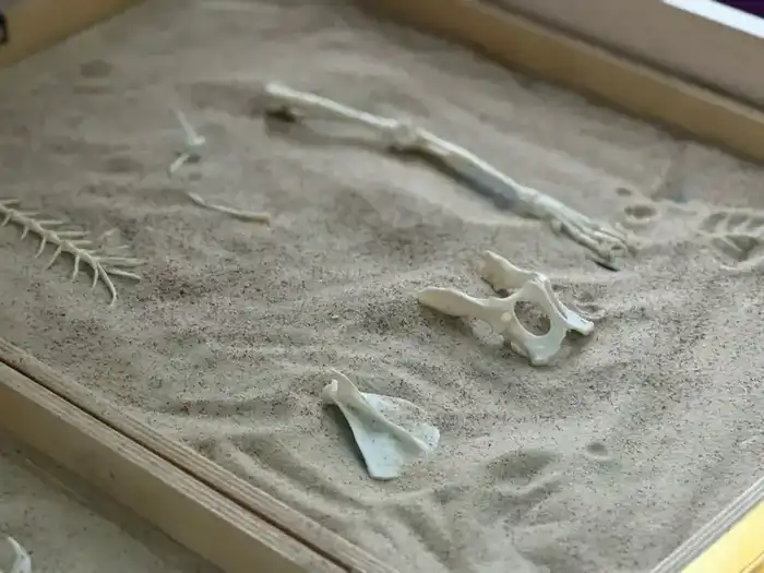 Дети в Астане: профессии и археология в садике! {city2}