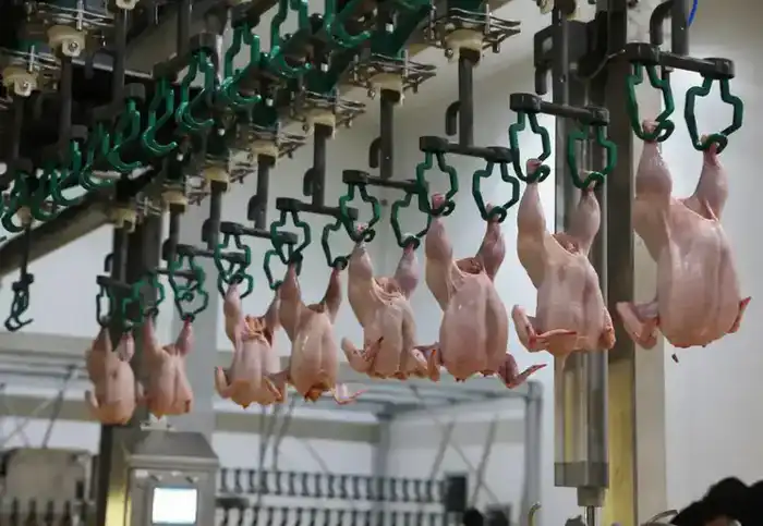 Жамбылская область входит в топ-3 по промышленному росту: произведено продукции на 1,1 трлн тенге (5)