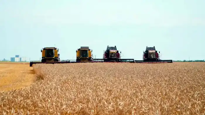 Казахстан запускает программу кредитования для модернизации элеваторов {city2}