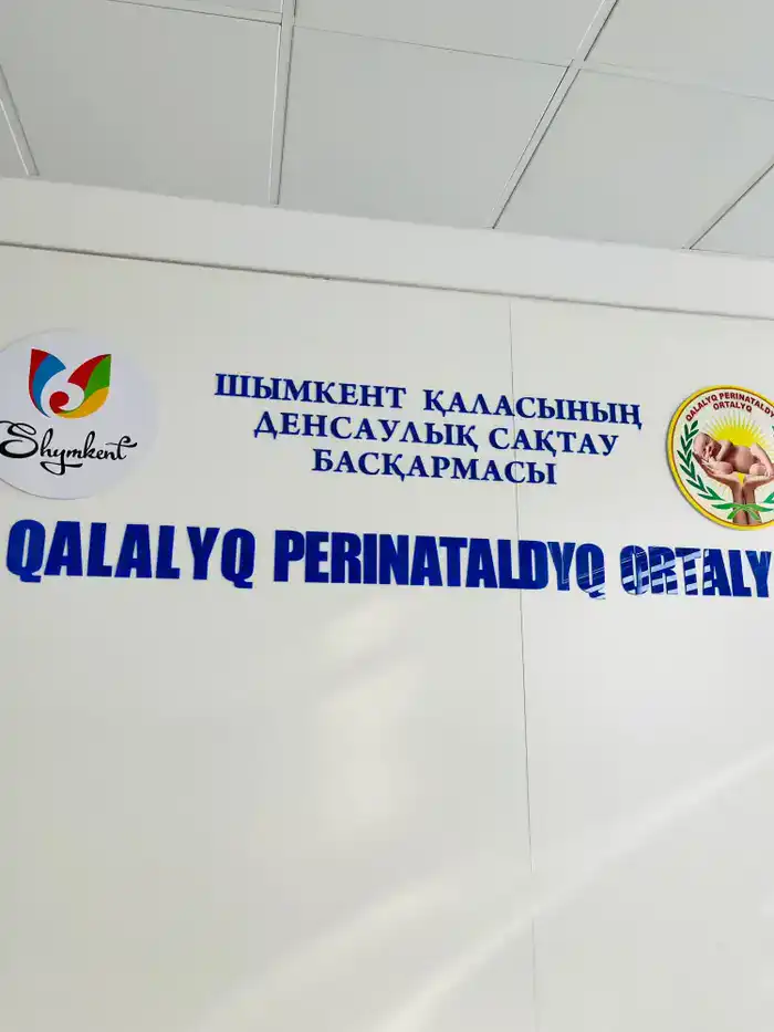 700 грамм жизни: 75 дней борьбы в Шымкенте {city2}