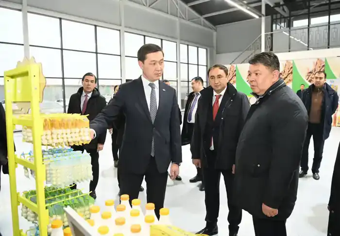 Запуск малой промышленной зоны «Тумар» в Кызылорде: перспективы для местной экономики и создания рабочих мест {city2}