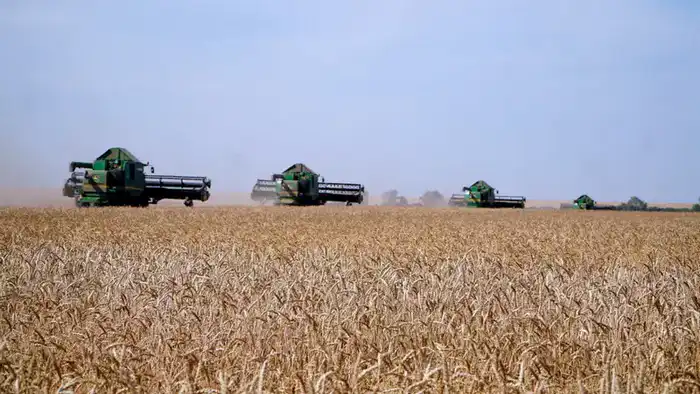 Успех Акмолинской области в сборе зерна способствует развитию местной экономики и привлечению инвестиций {city2}