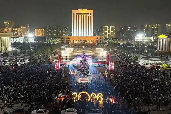 В Шымкенте зажгли огни главной новогодней ёлки города (8)