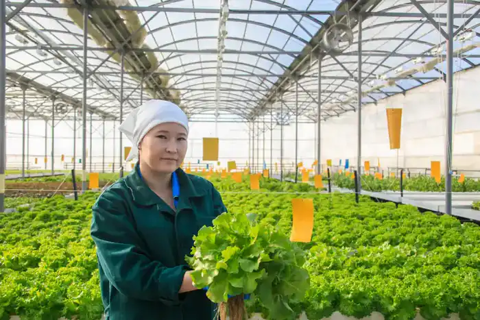 В Жетісу наблюдается значительный рост продукции малого и среднего бизнеса на 15,2% {city2}