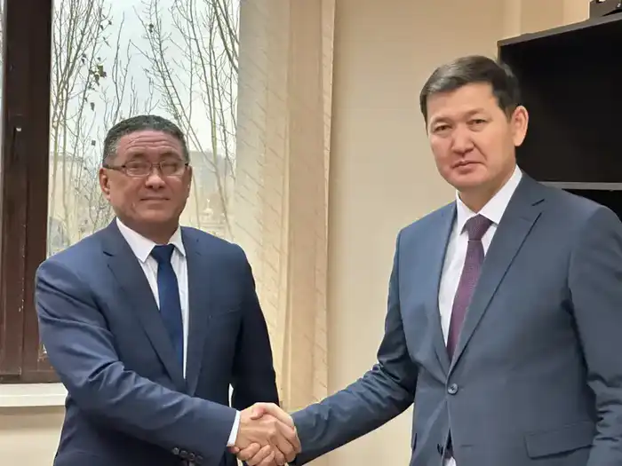 Назначение нового заместителя председателя Комитета ветеринарного контроля и надзора: акцент на ветеринарной безопасности и развитии инфраструктуры в Казахстане {city2}