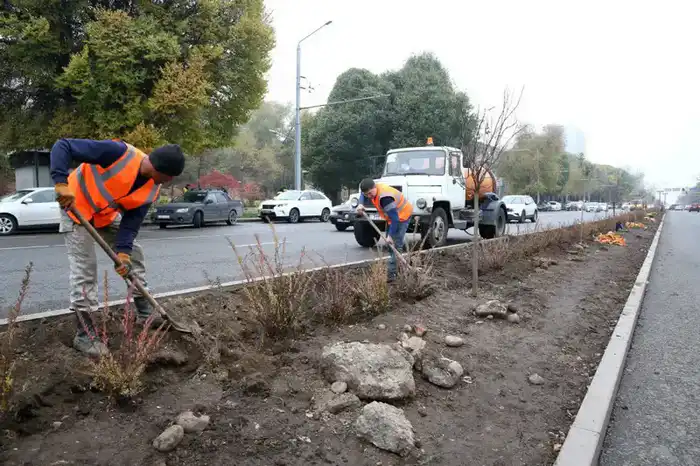 Аким Алматы объявил о благоустройстве 11 улиц общей протяжённостью 49 километров {city2}