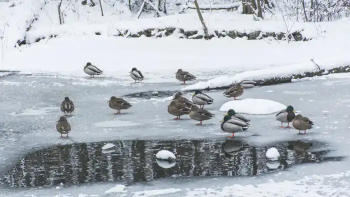 Арктический холод угрожает Казахстану: синоптики предупреждают о резком ухудшении погоды и возможных последствиях для населения {city2}