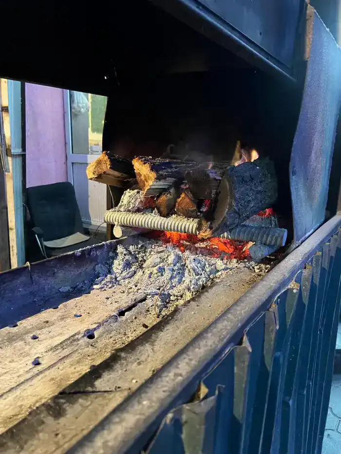 В Жетысуском районе Алматы пресекли незаконную работу «коптящихся» шашлычных (3)