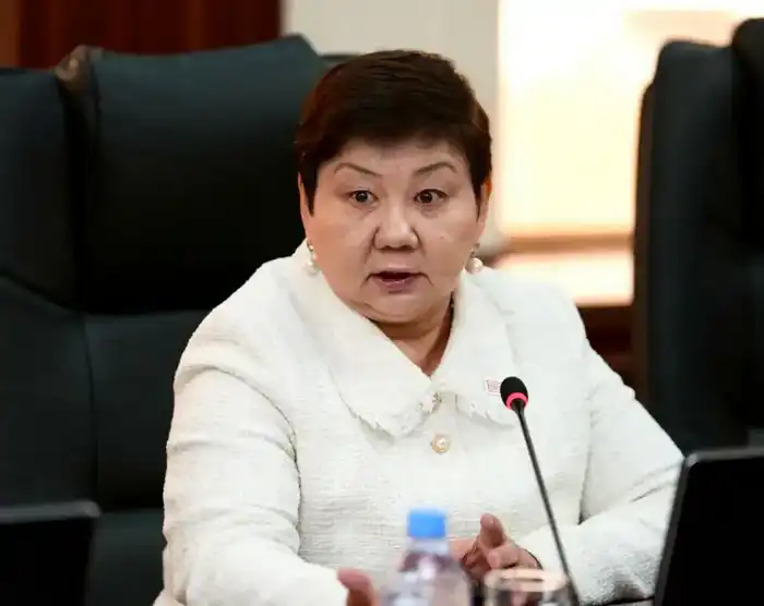 Общественный совет при Минэнерго рассмотрел 107 проектов за год (3)