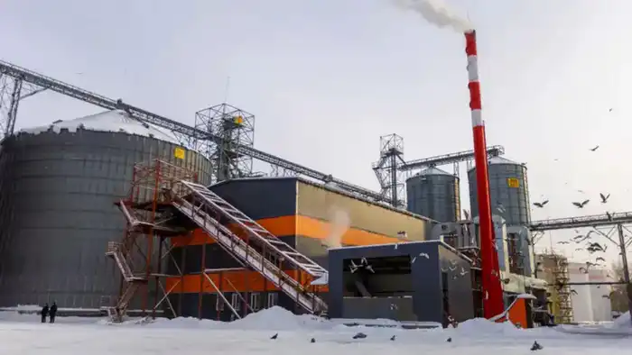 В Усть-Каменогорске открыт новый маслоэкстракционный завод ALTAI MAI с мощностью 500 тонн семян подсолнечника в сутки {city2}