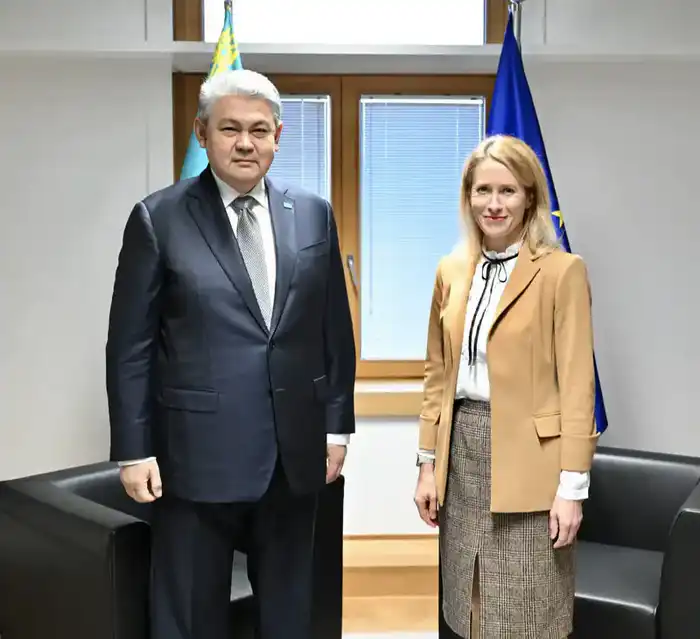 Глава МИД Казахстана принял участие в 22-м заседании Совета сотрудничества «Казахстан – Европейский союз» (3)