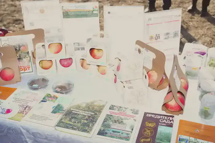 Казахстан и Россия реализуют совместный проект по развитию интенсивного садоводства (5)