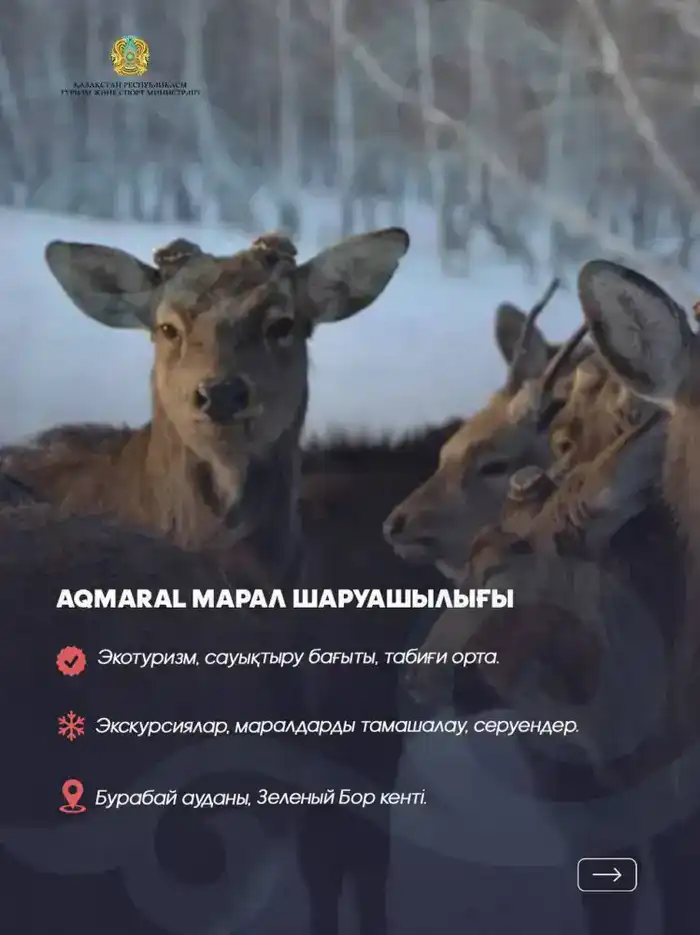 Куда отправиться на зимний отдых?10 направлений в Акмолинской области (9)