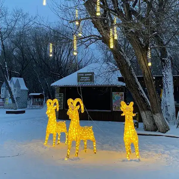 Немного волшебства: кто в Караганде создаёт новогоднюю атмосферу (7)