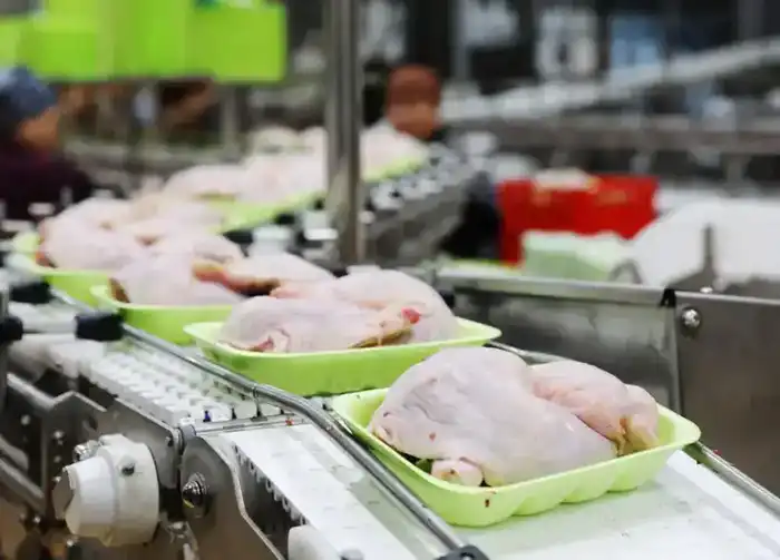 Жамбылская область входит в топ-3 по промышленному росту: произведено продукции на 1,1 трлн тенге (6)