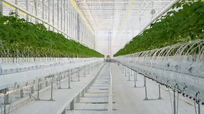 Туркестанская область: агропромышленные проекты под пристальным взглядом сенаторов {city2}