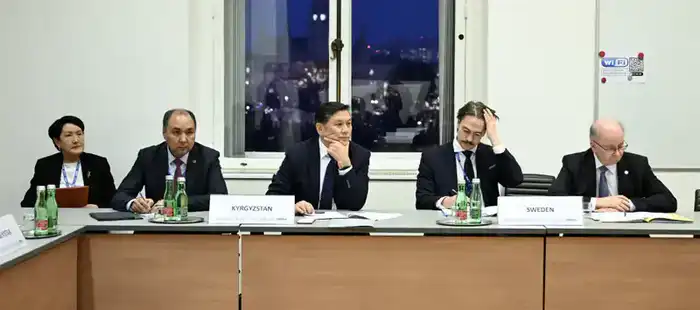 В Вене прошла встреча министров иностранных дел стран Центральной Азии и Северной Европы (3)